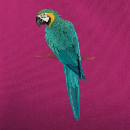 Ara