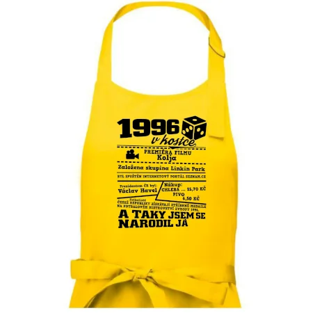 1996 v kostce