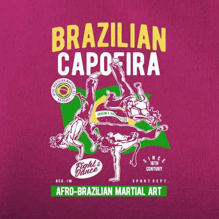 Brazilian Capoeira
