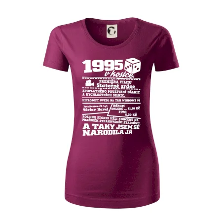 1995 v kostce