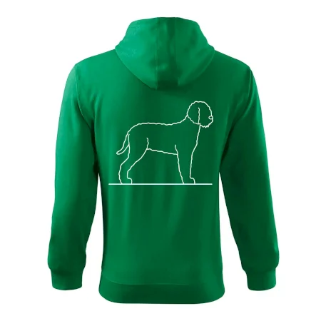 Lagotto romagnolo stojící
