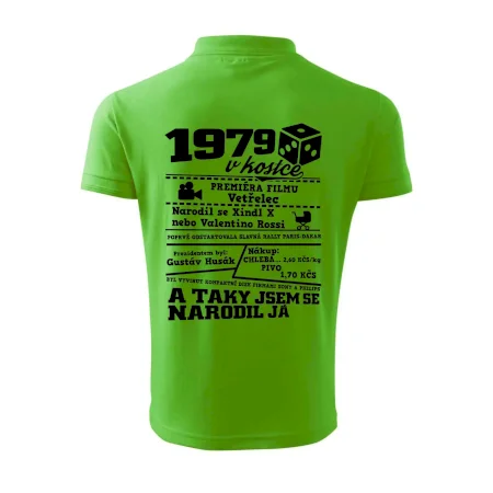 1979 v kostce