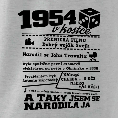 1954 v kostce