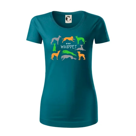 Whippet barevný