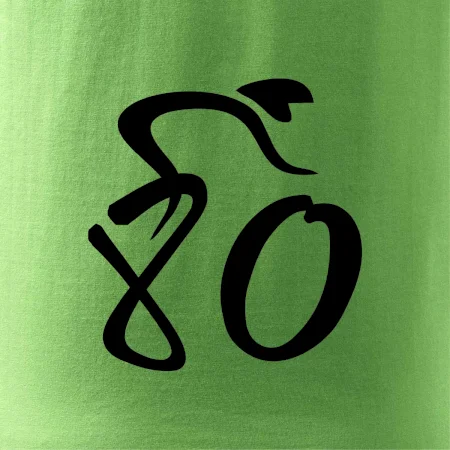 Cyklista slaví osmdesátiny (80)