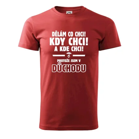 Dělám co chci, kdy chci důchod
