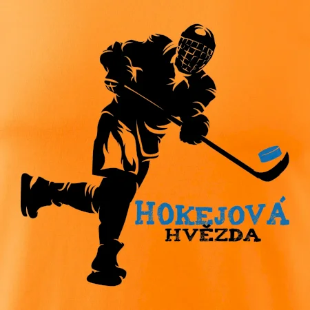 Hokejová hvězda