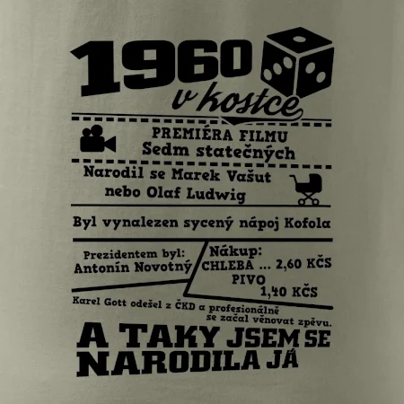 1960 v kostce