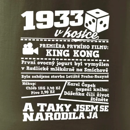 1933 v kostce