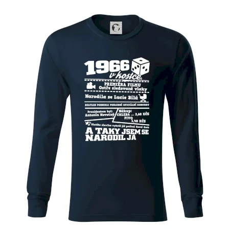 1966 v kostce