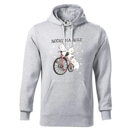 Kočky na kole