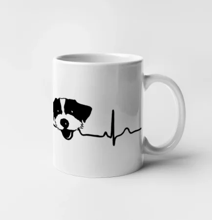 Jack Russell Terriér hrubosrstý Ekg