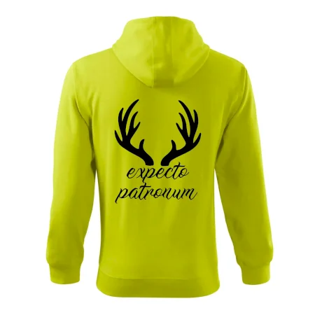 Harry - Expecto patronum