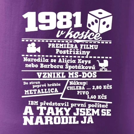 1981 v kostce