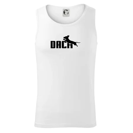 Jezevčík Dach