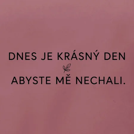 Dnes je krásný den abyste mě nechali