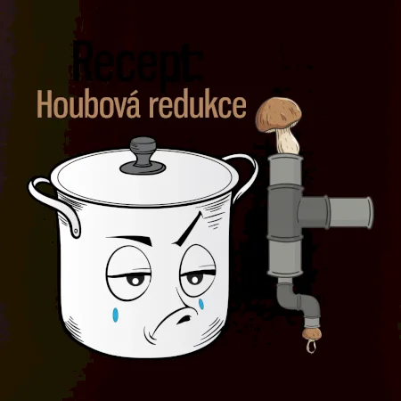 Recept houbová redukce
