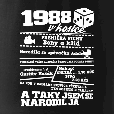 1988 v kostce