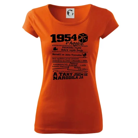 1954 v kostce