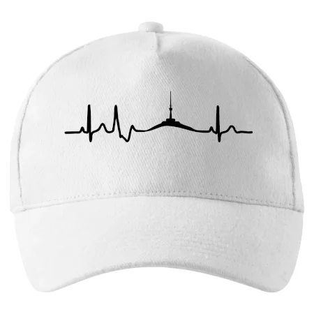 Ekg Jeseníky