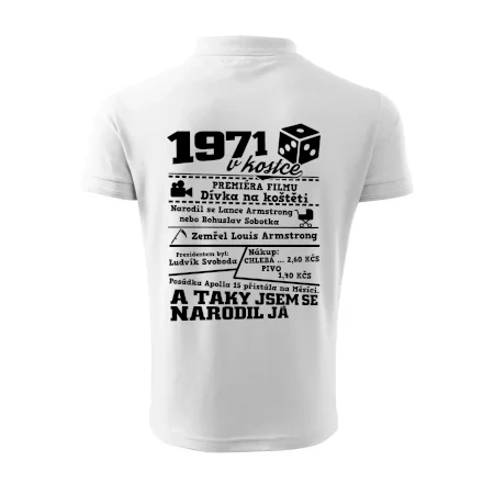 1971 v kostce