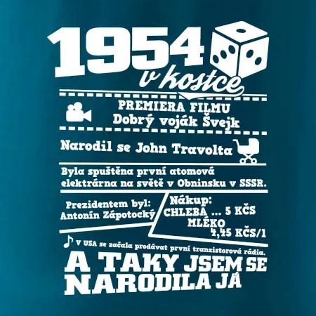 1954 v kostce
