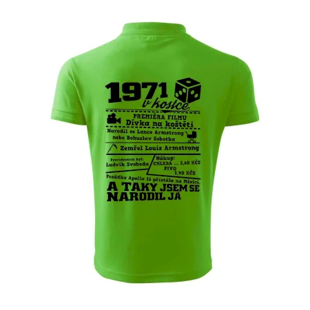 1971 v kostce