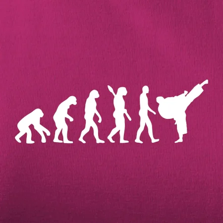 Karate Evoluce - kop
