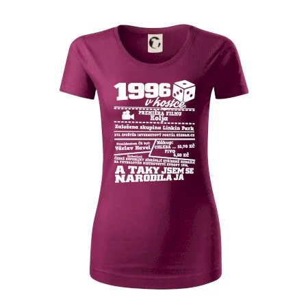1996 v kostce