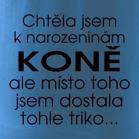 Chtěla jsem dostat k narozeninám koně