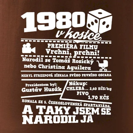 1980 v kostce