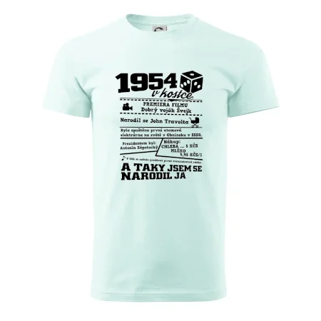 1954 v kostce