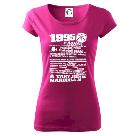 1995 v kostce