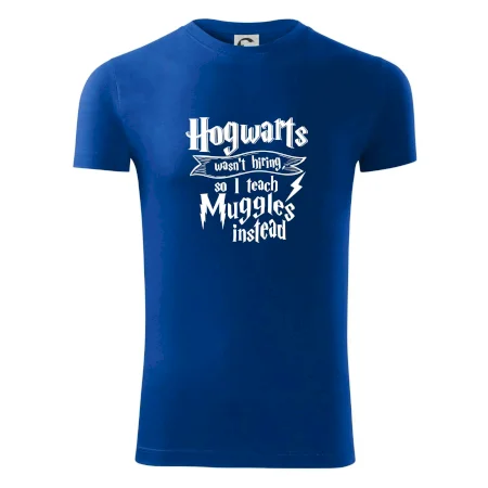 Harry - Hogwarts wasn’t hiring, so I teach Muggles instead