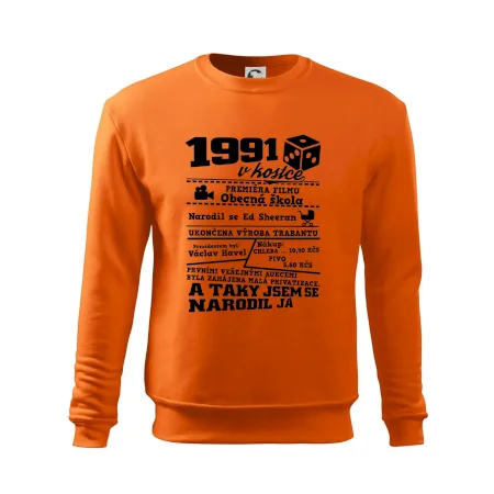 1991 v kostce