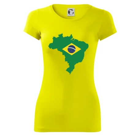 Brazílie vlajka v mapě