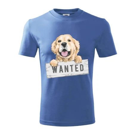 Zlatý retriever - štěně wanted