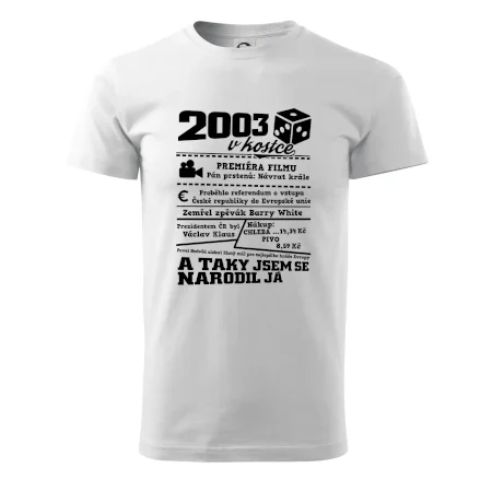 2003 v kostce