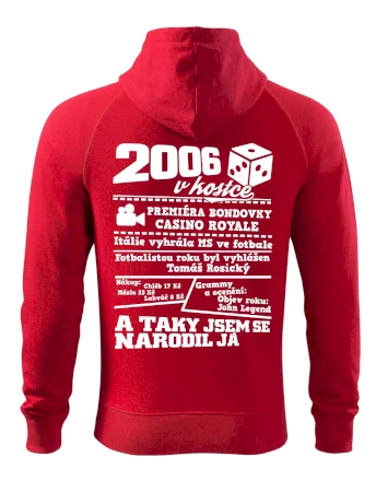 2006 v kostce