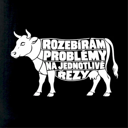 Rozebírám problémy na jednotlivé řezy