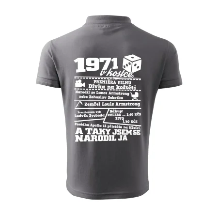 1971 v kostce