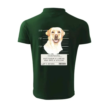 Lump a darebák labrador