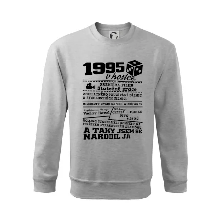 1995 v kostce