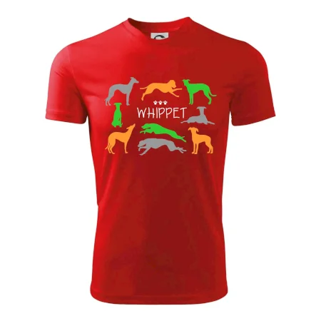 Whippet barevný