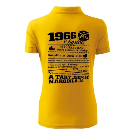 1966 v kostce