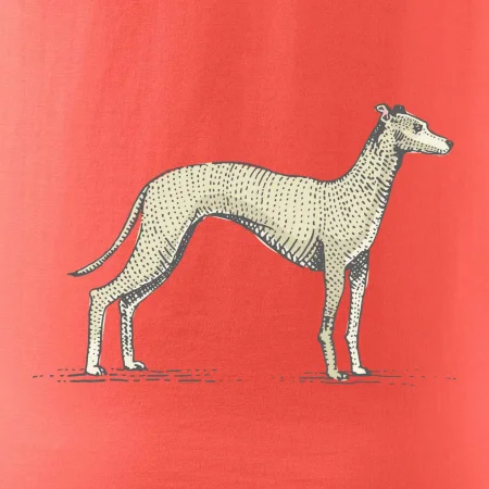 Vintage Whippet