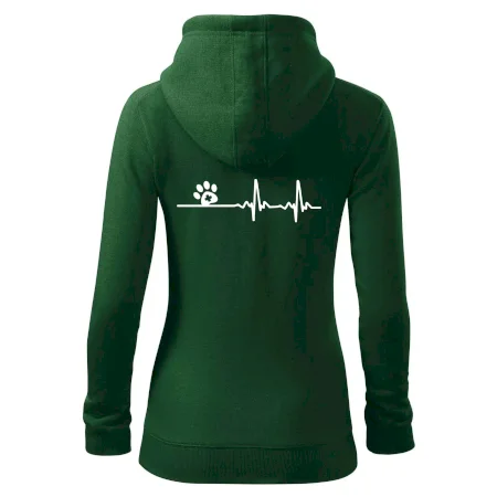 Veterinář EKG