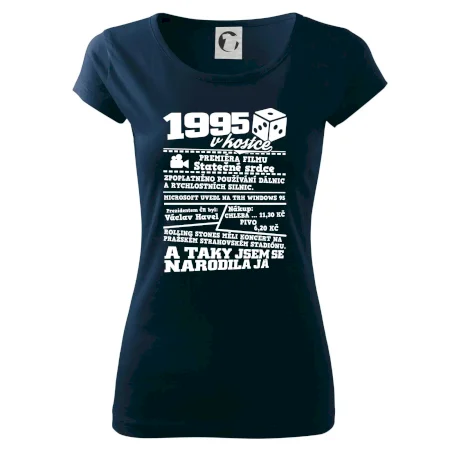 1995 v kostce