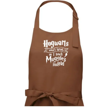 Harry - Hogwarts wasn’t hiring, so I teach Muggles instead