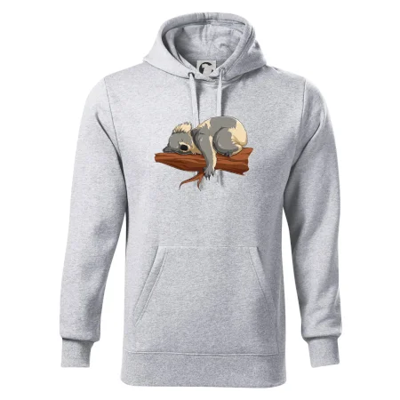 Koala na větvi